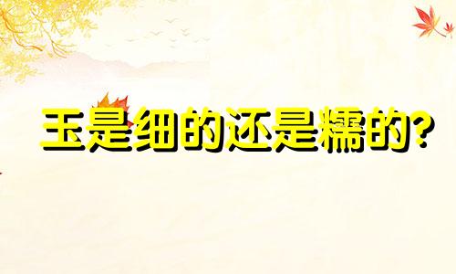 玉是细的还是糯的?