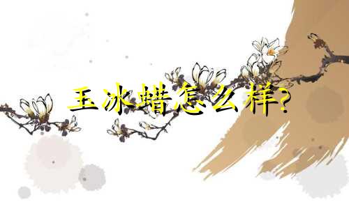 玉冰蜡怎么样?