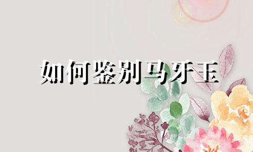 如何鉴别马牙玉