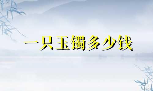 一只玉镯多少钱