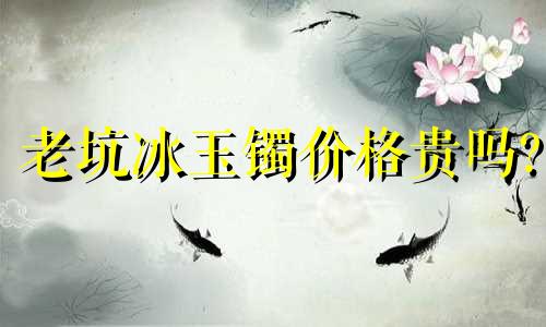 老坑冰玉镯价格贵吗?