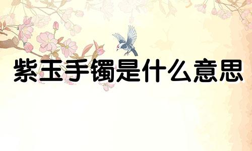 紫玉手镯是什么意思