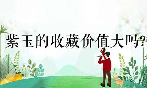 紫玉的收藏价值大吗?