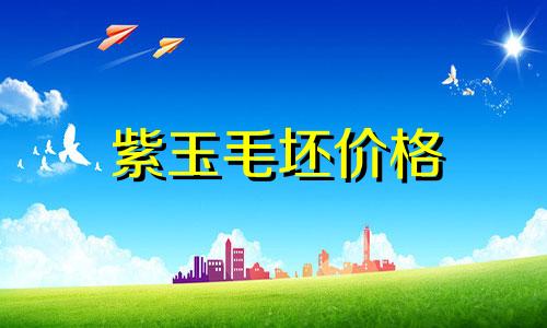 紫玉毛坯价格