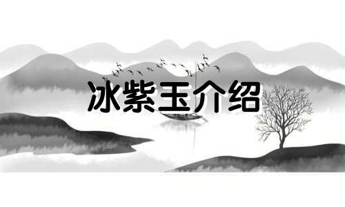 冰紫玉介绍