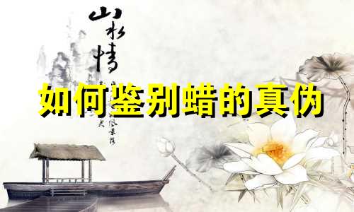 如何鉴别蜡的真伪