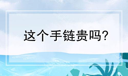 这个手链贵吗?