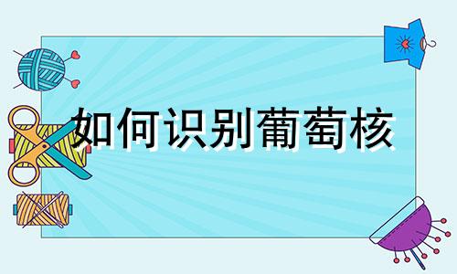 如何识别葡萄核