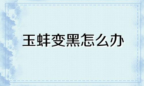 玉蚌变黑怎么办
