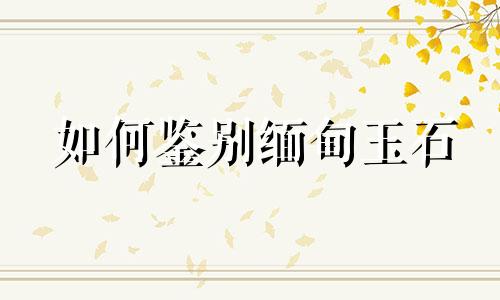 如何鉴别缅甸玉石