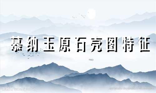 慕纳玉原石壳图特征