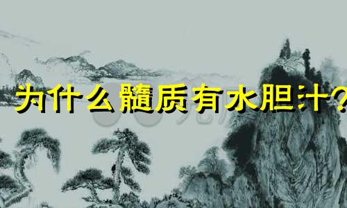 为什么髓质有水胆汁?