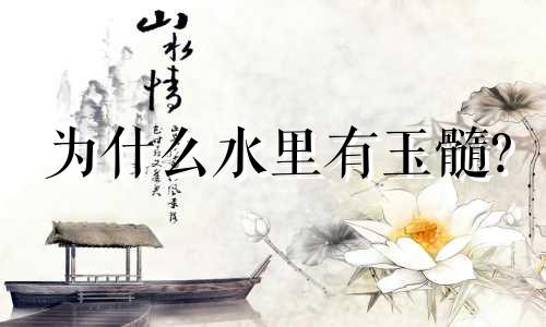 为什么水里有玉髓?