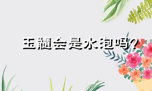 玉髓会是水泡吗?