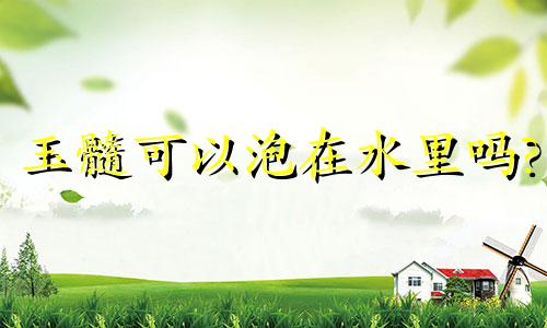 玉髓可以泡在水里吗?