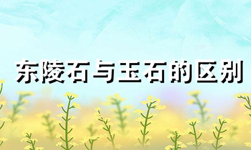 东陵石与玉石的区别