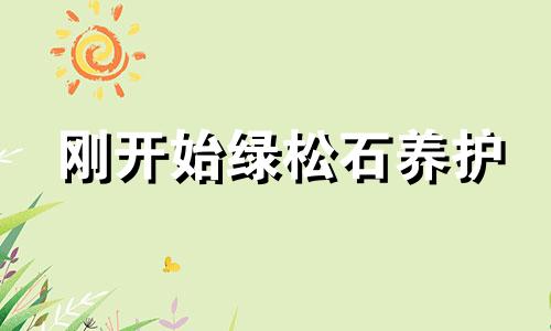 刚开始绿松石养护