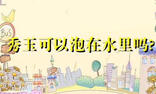 秀玉可以泡在水里吗?
