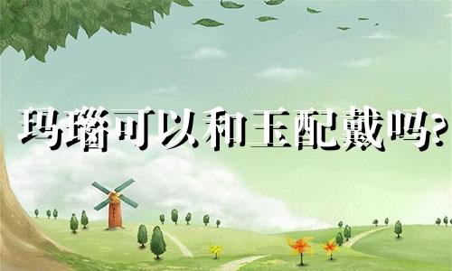 玛瑙可以和玉配戴吗?