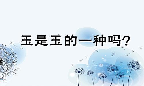 玉是玉的一种吗?
