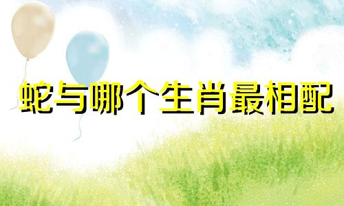 蛇与哪个生肖最相配 属蛇的人和哪个生肖最相配
