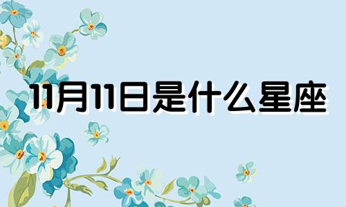 11月11日是什么星座