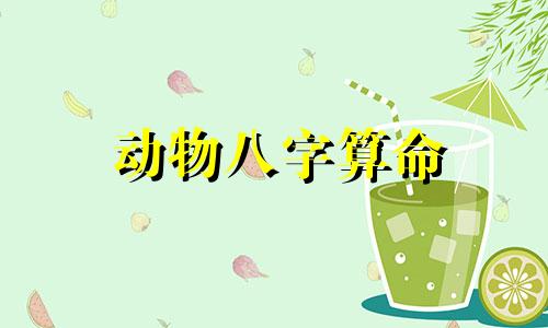 动物八字算命 关于生肖八字