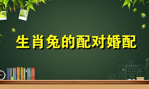 生肖兔的配对婚配 属兔人的生肖配对
