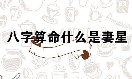 八字算命什么是妻星 八字怎么看妻星,妻宫 请高手解释下