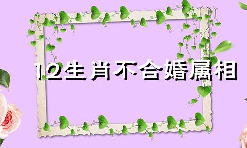 12生肖不合婚属相 哪些属相不宜结婚,十二生肖中,那些属相最不适合结婚