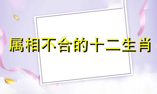 属相不合的十二生肖 属相不合有哪些