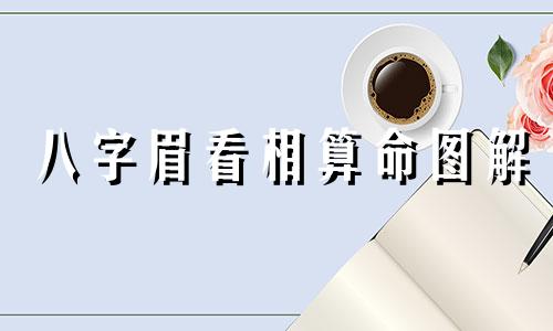 八字眉看相算命图解 八字眉看相分析" 可以改写为 "八字眉的面相学解析与命运预测