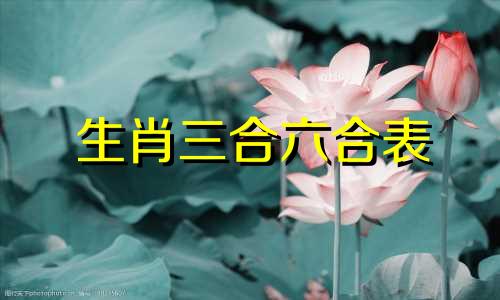 生肖三合六合表 十二生肖婚配表