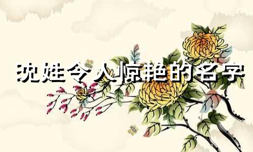 沈姓令人惊艳的名字 男孩起名常用1000字