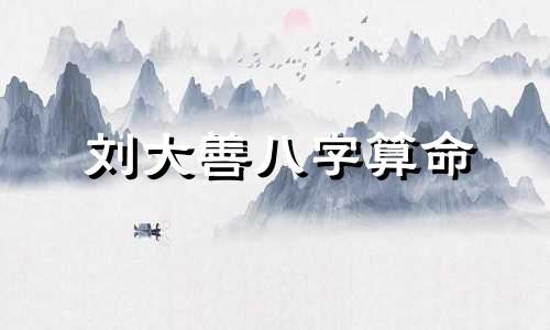 刘大善八字算命 满江红谁演的