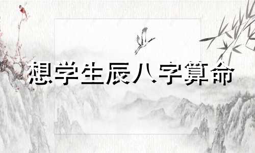 想学生辰八字算命 想学习八字算命知识