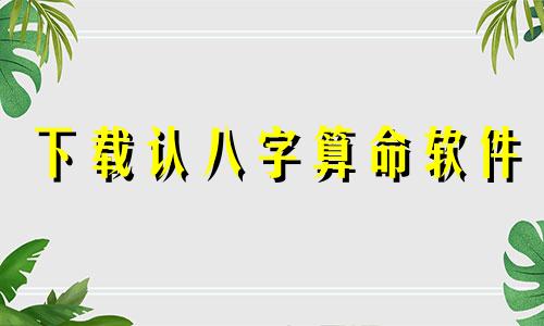 下载认八字算命软件 永久免费的八字排盘软件下载,正和八字排盘下载软件