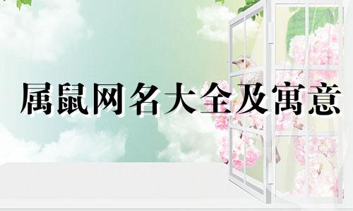 属鼠网名大全及寓意 吉祥招财的属相生肖网名