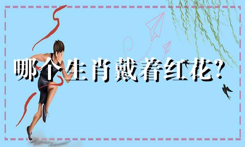 哪个生肖戴着红花?