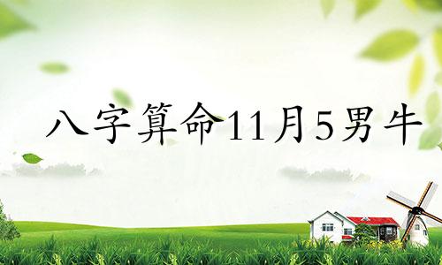 八字算命11月5男牛 男性,阳历1977年11月5日晚7  9点出生,看命理喜忌