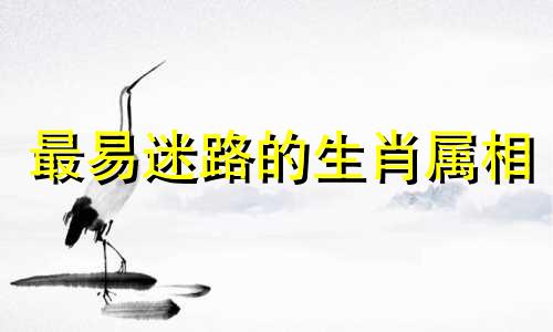 最易迷路的生肖属相 生肖鼠是否方向感较差，没有导航就无法出门