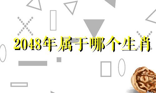 2048年属于哪个生肖 属相年份对照表
