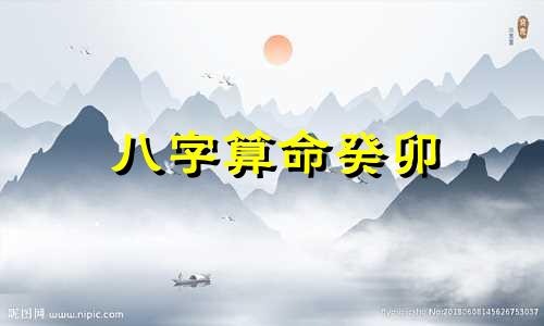 八字算命癸卯 胎元癸卯是什么意思