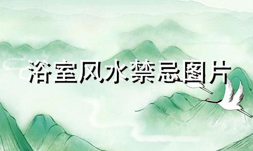 浴室风水禁忌图片 房间游泳池风水禁忌