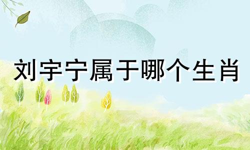 刘宇宁属于哪个生肖 刘些宁和刘宇宁之间的关系