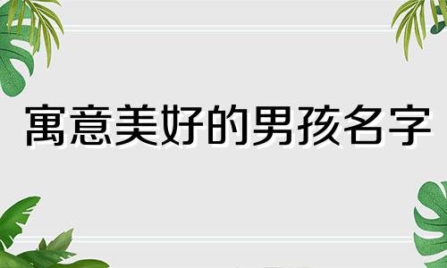 寓意美好的男孩名字 婴儿起名大全免费