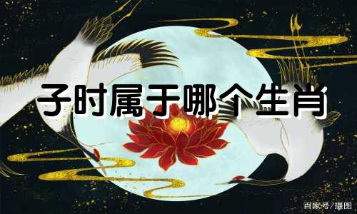 子时属于哪个生肖 十二生肖的子时是几点