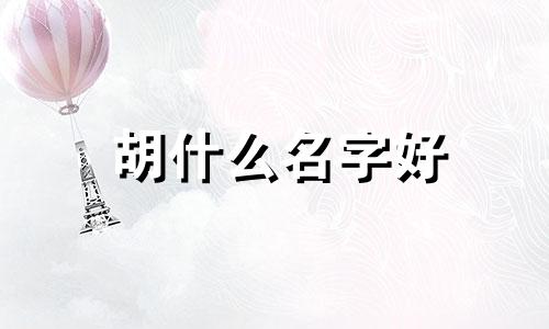 胡什么名字好 胡名字男孩名字好听