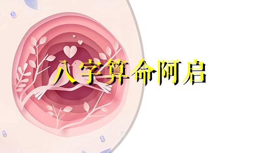 八字算命阿启 八字合婚最准的网站,推荐几个免费算八字的网站。