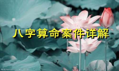 八字算命案件详解 数字八字算命方法详解